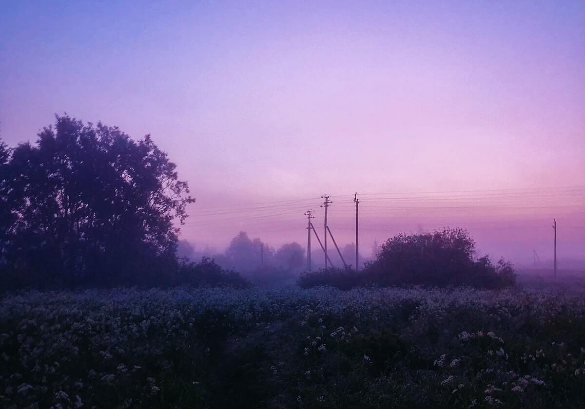 德甲赛场风云突变，樊振东缺阵难挡逆转，约内斯库一己之力导演3-1奇迹